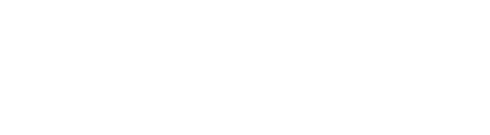 CRM Formatar